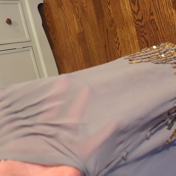 Taupe Neutral Sheer Sleeveless Top Gold Sequin Accents Bella Swan Vibes Sz m - Picture 6 of 8